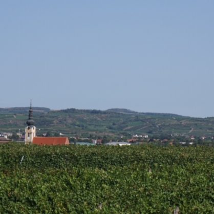 11月15日GVの会＠東京